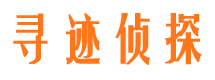 临渭情人调查